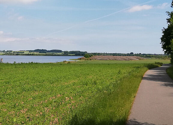 Radweg zwischen Sülsdorf und Dassow