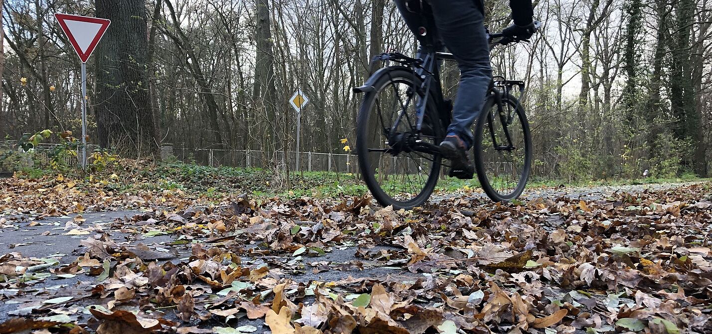 Mit Laub und Matsch bedeckte Radwege bringen Sturzgefahr Radfahrer fährt über mit Laub bedeckten Radweg